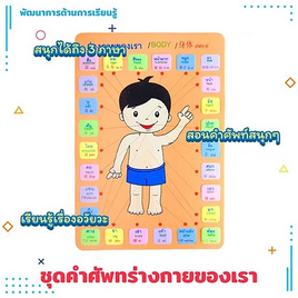 ASTA ชุดคำศัพท์ร่างกายของเรา ภาษาอังกฤษ ภาษาจีน ภาษาไทย 26 คำศัพท์ - ASTA, ASTA