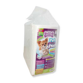 BOKDOK Pet Pad แผ่นรองซับสัตว์เลี้ยง - BOKDOK, สัตว์เลี้ยง