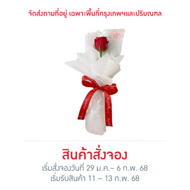 Bangkokflower ช่อดอกกุหลาบสดสีแดง 1 ดอก - Bangkokflower, อุปกรณ์ตกแต่งภายในบ้าน