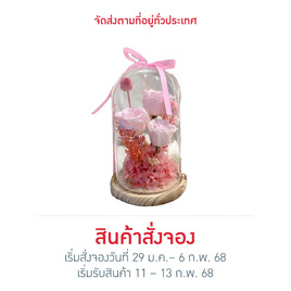 Bangkokflower Mini dome ดอกกุหลาบอบแห้ง 3 ดอกในโดมแก้ว สีชมพู - Bangkokflower, สินค้าใหม่บ้านและสวน