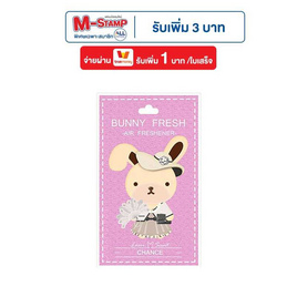 Bunnyfresh แผ่นน้ำหอม Bunny fresh - Bunnyfresh, อุปกรณ์ และผลิตภัณฑ์ดูแลรักษารถยนต์