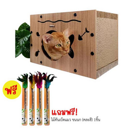 CCPets กล่องไม้ กระดาษข่วน รูปปลา SC592N - CCPets, สินค้าใหม่