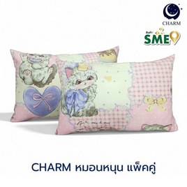 Charm หมอนหนุุนเเพ็คคู่ Catty Picnic ขนาด 17 x 27 นิ้ว - Charm, ผ้านวม ผ้าห่ม