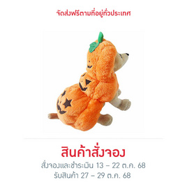 Clawset ฟักทองฮาโลวีน - ชุดฟักทองสุดคิ้วท์ - Clawset, แฟชั่นสุนัข และแมว