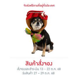 Clawset ชุดหม้อข้าวสารเสก - Clawset, แฟชั่นสุนัข และแมว
