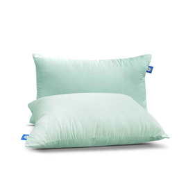 DD Bedding หมอนหนุนแพ็กคู่ DUDO 17 นิ้วx27 นิ้ว SS พื้นเขียวมิ้น (2 ใบ) - DD Bedding, หมอนหนุน