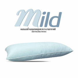 DD หมอนบอดี้ รุ่น Mild 18''x45'' สีเขียวมิ้น - DD Bedding, หมอน Body