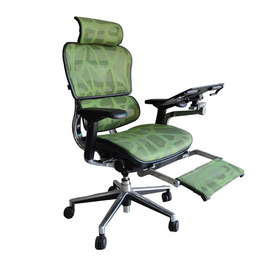 DF Prochair เก้าอี้เพื่อสุขภาพ รุ่น Ergo 2 Top Plus - DF Prochair, เฟอร์นิเจอร์ห้องทำงาน