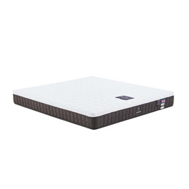 DUNLOPILLO ที่นอน รุ่น RAPTURE ll - Dunlopillo, ที่นอน