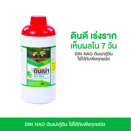 Din Nao ดินเน่ากู้ดิน 1 ขวด - Din Nao, อุปกรณ์ตกแต่งสวน