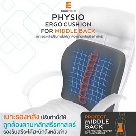 Ergotrend PHYSIO ERGO CUSHION FOR MIDDLE BACK เบาะรองหลังปรับท่านั่งตามหลักสรีรศาสตร์ - Ergotrend, เครื่องมือเพื่อสุขภาพ