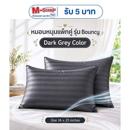 Fluffy หมอนหนุนแพ็กคู่ รุ่น Bouncy สีเทาเข้ม 16x25 นิ้ว - Fluffy, Fluffy