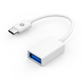 HP อุปกรณ์แปลงสัญญาณ USB-C To OTG DHC TC105 - HP, อุปกรณ์เสริมคอมพิวเตอร์อื่นๆ