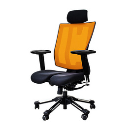 Hara Chair เก้าอี้สุขภาพ รุ่น อูรุส สีส้ม - Hara Chair, เฟอร์นิเจอร์