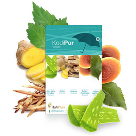 Herb plus Kodipur (โคดิเพอร์) อาหารเสริมสกัดจากสมุนไพร 6 ชนิด 30 แคปซูล - Herb plus, สร้างภูมิคุ้มกัน ต้านอนุมูลอิสระ