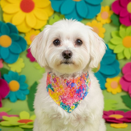 Holy Happy ผ้าพันคอลายดอกไม้คัลเลอร์ฟลู - Holy Happy, แฟชั่นสุนัข และแมว