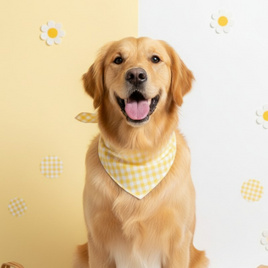 Holy Happy ผ้าพันคอลายScott เหลือง - Holy Happy, แฟชั่นสุนัข และแมว