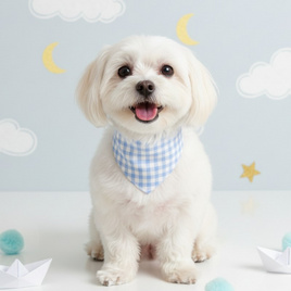 Holy Happy ผ้าพันคอลาย Scott ฟ้า - Holy Happy, แฟชั่นสุนัข และแมว