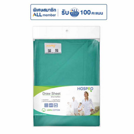 Hospro ผ้าขวางเตียง สีเขียวอ่อน - Hospro, อุปกรณ์ผู้ป่วยติดเตียง