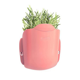 Jolly Simple Hay Rack รางหญ้าเกี่ยวกรง (สีชมพู) - Jolly, 7Online