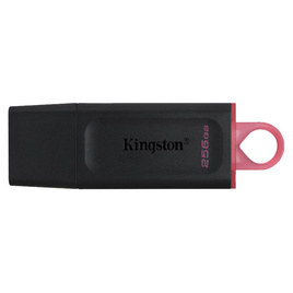 Kingston Flashdrive DataTraveler Exodia DTX USB 3.2 Gen 1 256 GB - Kingston, ไอที กล้อง