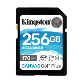 Kingston SD Card Canvas Go Plus 256 GB - Kingston, ไอที กล้อง