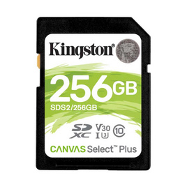 Kingston SD Card Canvas Select Plus SDS2 256 GB - Kingston, อุปกรณ์คอมพิวเตอร์