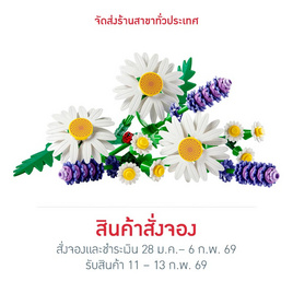 LEGO ตัวต่อเสริมททักษะ Botanicals 11508 Daisies - LEGO, สินค้าใหม่
