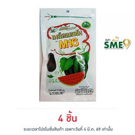 M16 เมล็ดแตงโม 110 กรัม - M16