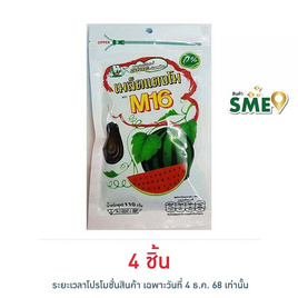 M16 เมล็ดแตงโม 110 กรัม - M16, สินค้าขายดีขนมขบเคี้ยวและช็อคโกแลต