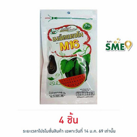 M16 เมล็ดแตงโม 110 กรัม - M16, ถั่ว