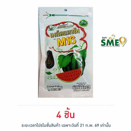M16 เมล็ดแตงโม 110 กรัม - M16