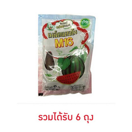 M16 เมล็ดแตงโม 45 กรัม - M16, ถั่ว