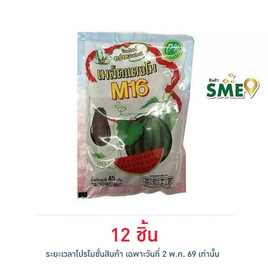 M16 เมล็ดแตงโม 45 กรัม - M16, ถั่ว