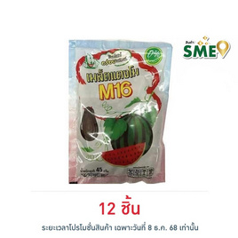M16 เมล็ดแตงโม 45 กรัม - M16, ขนมขบเคี้ยว และช็อคโกแลต