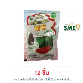 M16 เมล็ดแตงโม 45 กรัม - M16, ซีฟู้ดสแน็ค ถั่ว