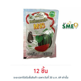 M16 เมล็ดแตงโม 45 กรัม - M16, ขนมขบเคี้ยว และช็อคโกแลต