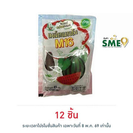 M16 เมล็ดแตงโม 45 กรัม - M16, ถั่ว