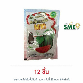 M16 เมล็ดแตงโม 45 กรัม - M16, ถั่ว