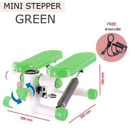 MINI STEPPER เครื่องออกกำลังกาย แบบเหยียบขึ้นลง กระชับสัดส่วน บริหารต้นแขนและขา - No Brands, สินค้าเพื่อสุขภาพ