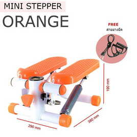 MINI STEPPER เครื่องออกกำลังกาย แบบเหยียบขึ้นลง กระชับสัดส่วน บริหารต้นแขนและขา - No Brands, สุขภาพ ออกกำลังกาย