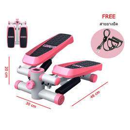 MINI STEPPER เครื่องออกกำลังกาย แบบเหยียบขึ้นลง กระชับสัดส่วน บริหารต้นแขนและขา - No Brands, สุขภาพและเครื่องออกกำลังกาย