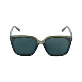 Marco polo Sunglasses แว่นกันแดด รุ่น 2320 C3 - Marco Polo, แว่นตา