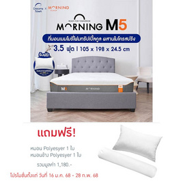 Morning Sleep ที่นอนเมมโมรี่โฟมทริปเปิ้ลคูล ผสานไมโครสปริง รุ่น M5 - Morning Sleep, ที่นอน