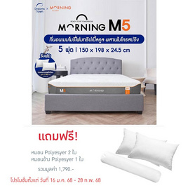 Morning Sleep ที่นอนเมมโมรี่โฟมทริปเปิ้ลคูล ผสานไมโครสปริง รุ่น M5 - Morning Sleep, ห้องนอนและเครื่องนอน