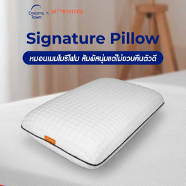 Morning Sleep หมอนสุขภาพ รุ่น Signature Pillow - Morning Sleep, หมอนหนุนและหมอนข้าง