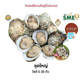 OTOP หอยนางรมสุราษฎร์ธานี ศิริพรฟาร์ม - ศิริพรฟาร์ม, 7Online