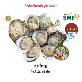 OTOP หอยนางรมสุราษฎร์ธานี ศิริพรฟาร์ม - ศิริพรฟาร์ม, อาหารสด ผัก ผลไม้และเบเกอรี่