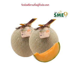 OTOP เมล่อนฮอกไกโด เกรดพรีเมียม ไร่ชรินทร์พรรณ - ไร่ชรินทร์พรรณ, ผลไม้สด