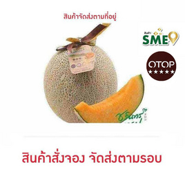 OTOP เมล่อนฮอกไกโด เกรดพรีเมี่ยม 1 ลูก ไร่ชรินทร์พรรณ - ไร่ชรินทร์พรรณ, อาหารสดพร้อมส่งถึงบ้าน